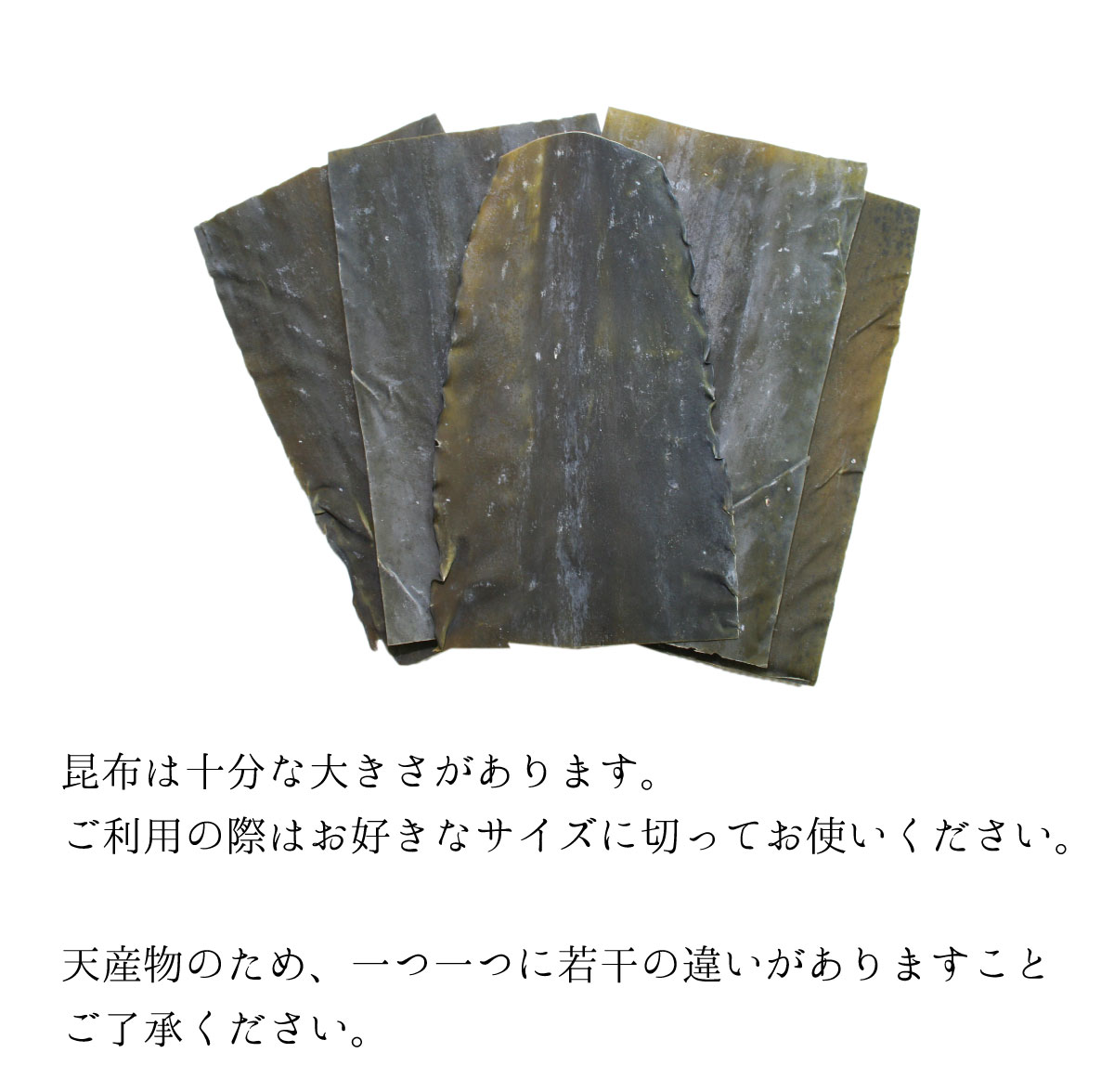 道南産出し昆布