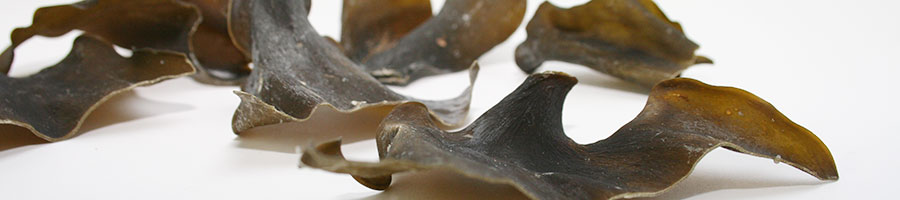 がごめ昆布とがもめ昆布:どちらも同じ昆布の事を指します。