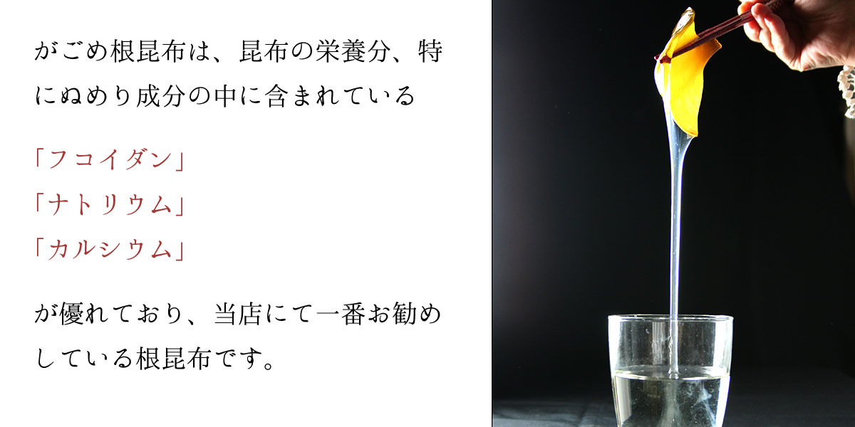 がごめ根昆布は昆布の栄養分、特にぬめり成分の中に含まれる「フコイダン」「ナトリウム」「カルシウム」等が優れており、当店で一番お勧めしている根昆布です。