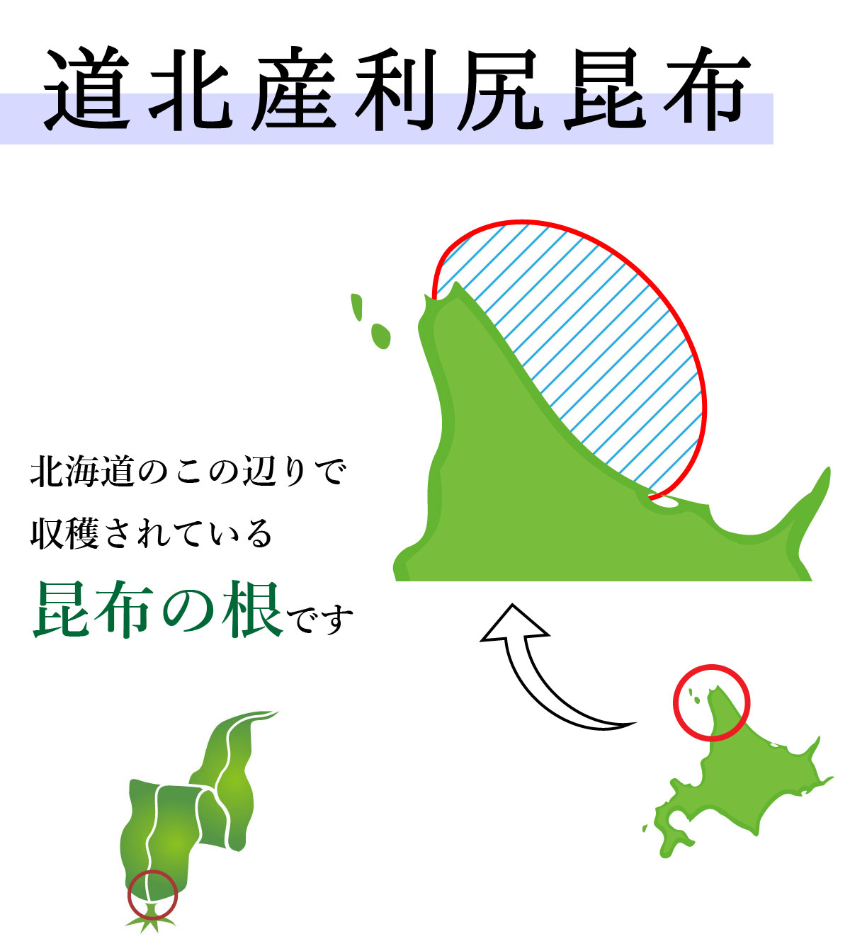 道北産利尻根昆布