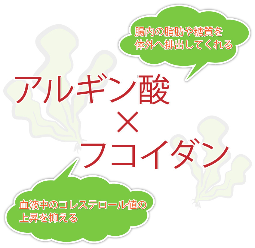 アルギン酸:腸内の脂肪や糖質を体外へ排出してくれる。フコイダン:血液中のコレステロール値の上昇を抑える