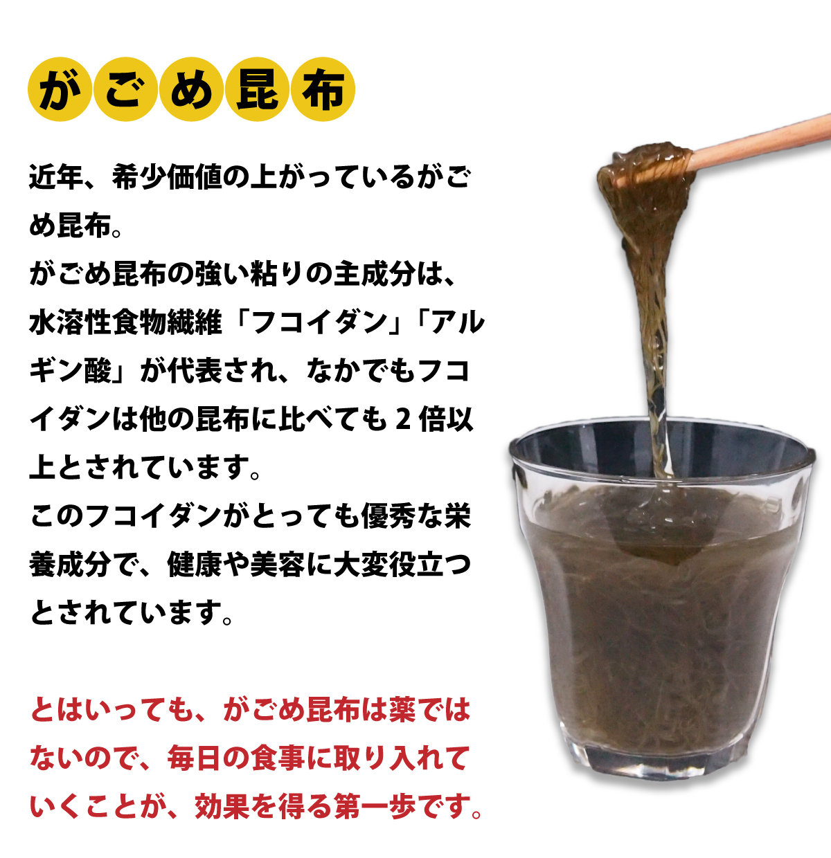 がごめ昆布の主成分はフコイダン