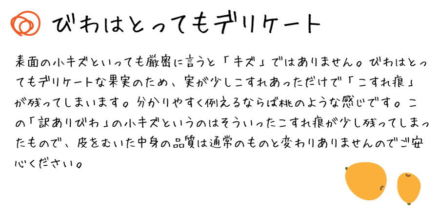 びわはとってもデリケート