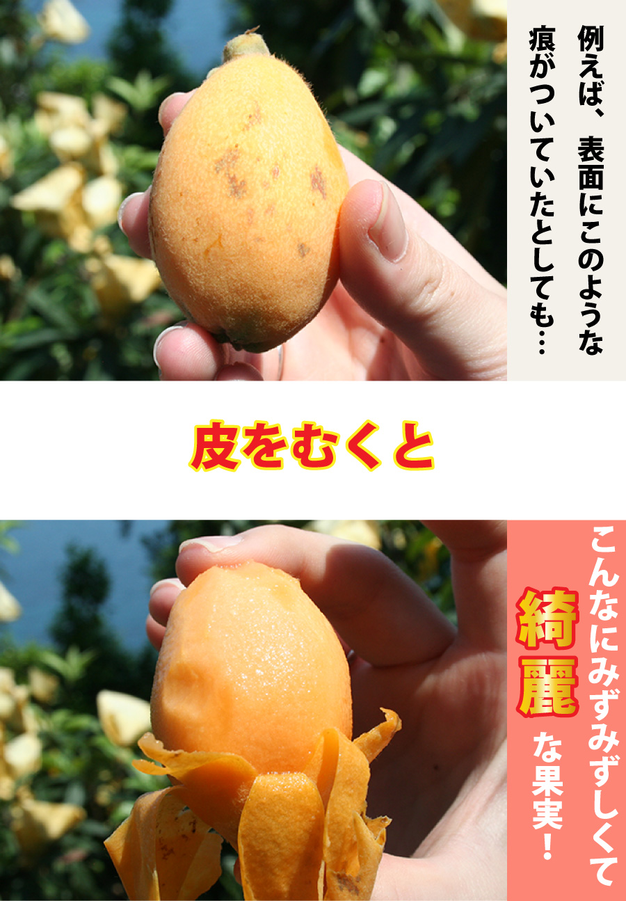 皮をむくと