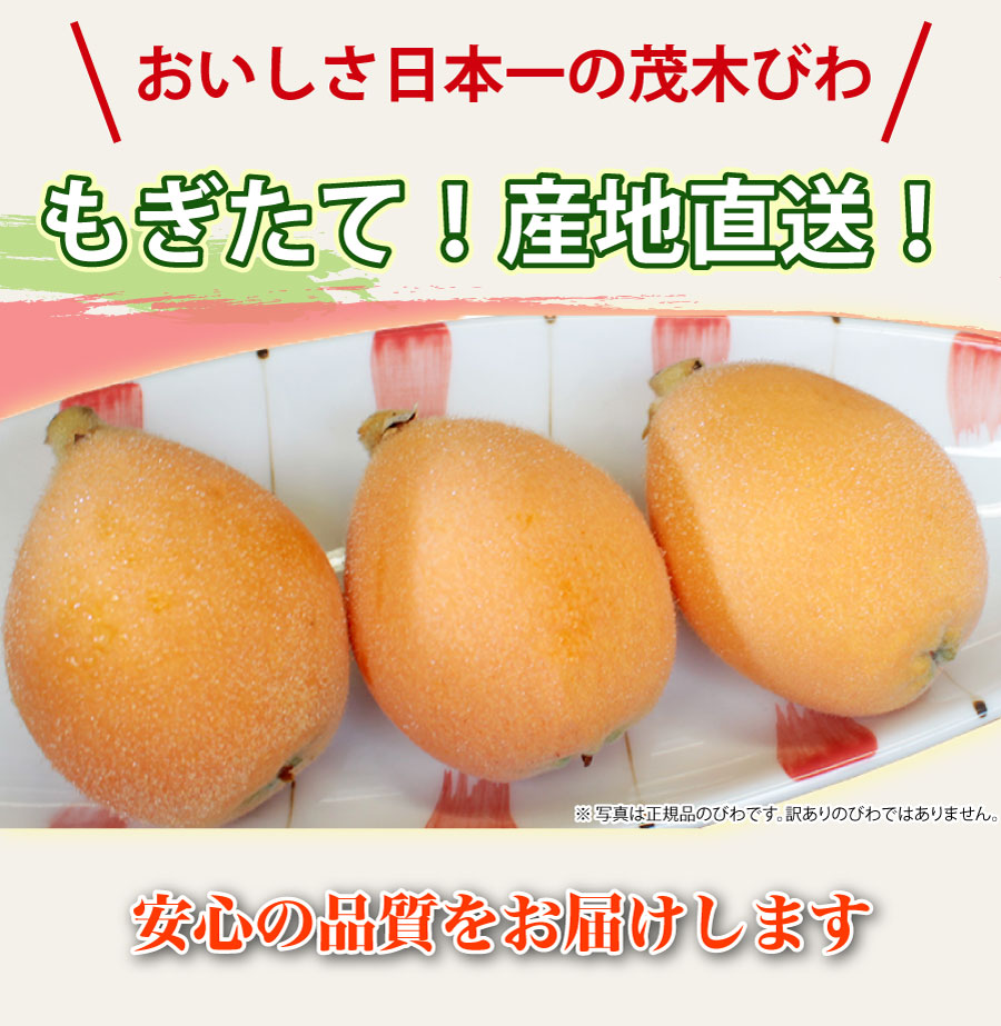 もぎたて!産地直送!