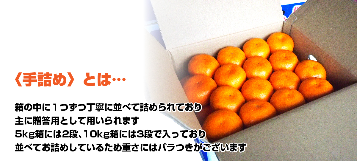 箱の中に1つずつ丁寧に並べて詰められており、主に贈答用として用いられます。5kg箱には2段、10kg箱には3段で入っており、並べてお詰めしているため重さにはバラつきがございます。