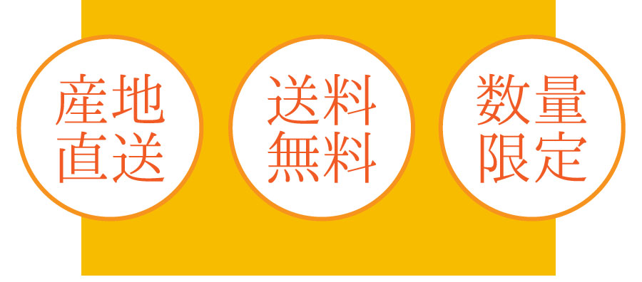 黄金に輝く果実茂木びわ