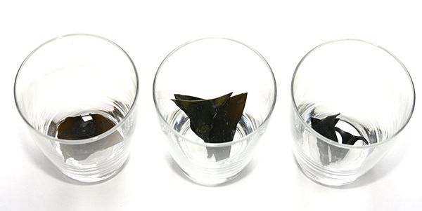 根昆布水乾燥状態