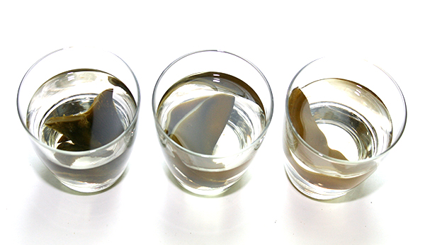 根昆布水24時間経過後