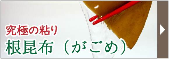 根昆布(がごめ)