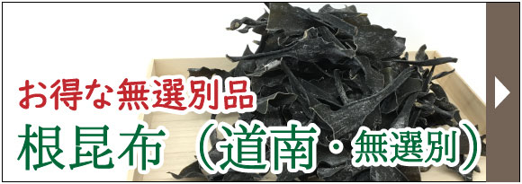 根昆布(道南黒口無選別)