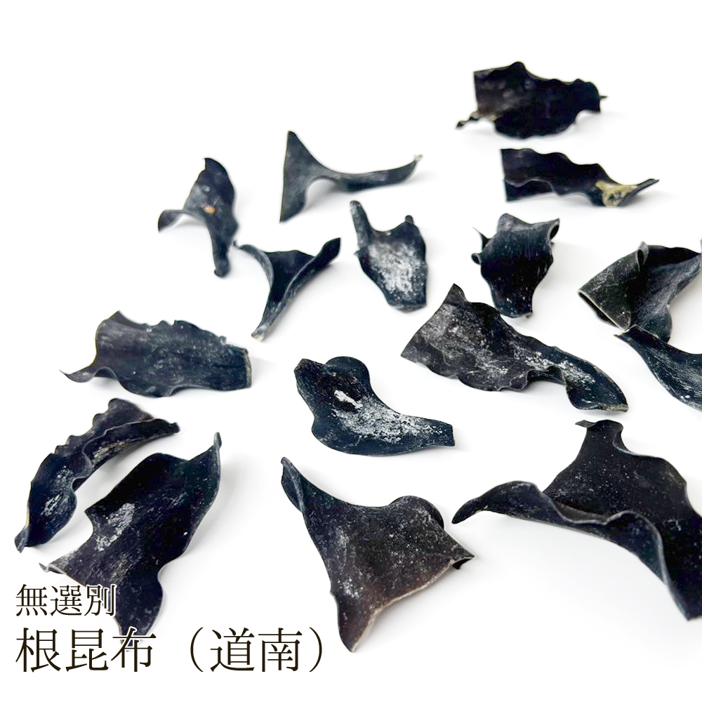 【無選別】根昆布（道南）
