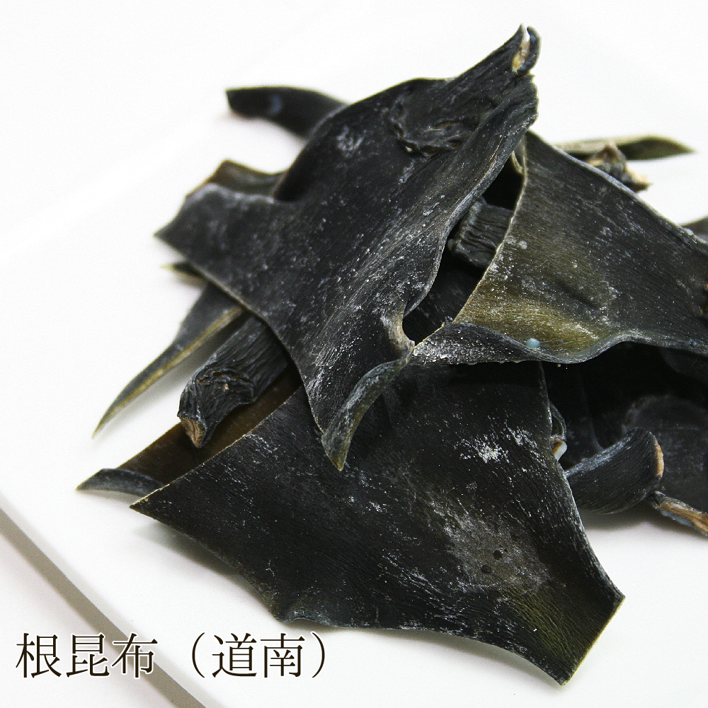 根昆布(道南・白口浜)