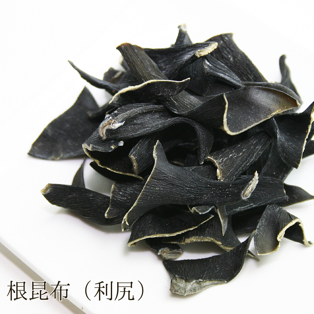 根昆布（利尻）
