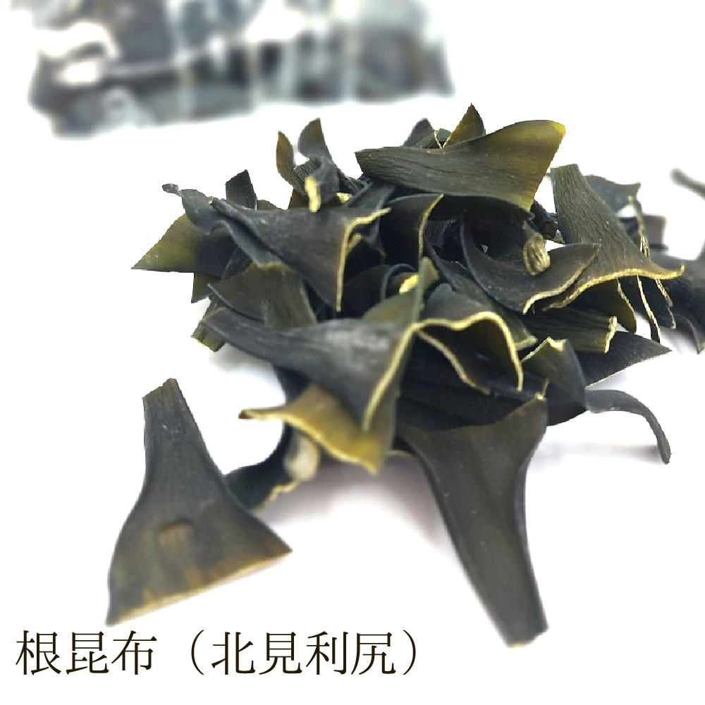 根昆布(北見利尻)