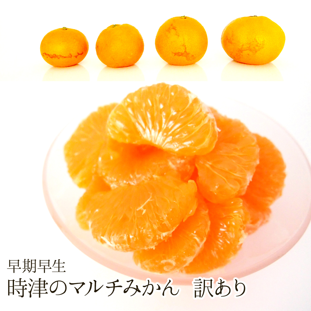 【送料無料】時津のマルチみかん(早期早生/訳あり/2S～L)