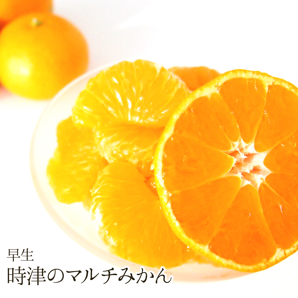 【送料無料】時津のマルチみかん(早生)