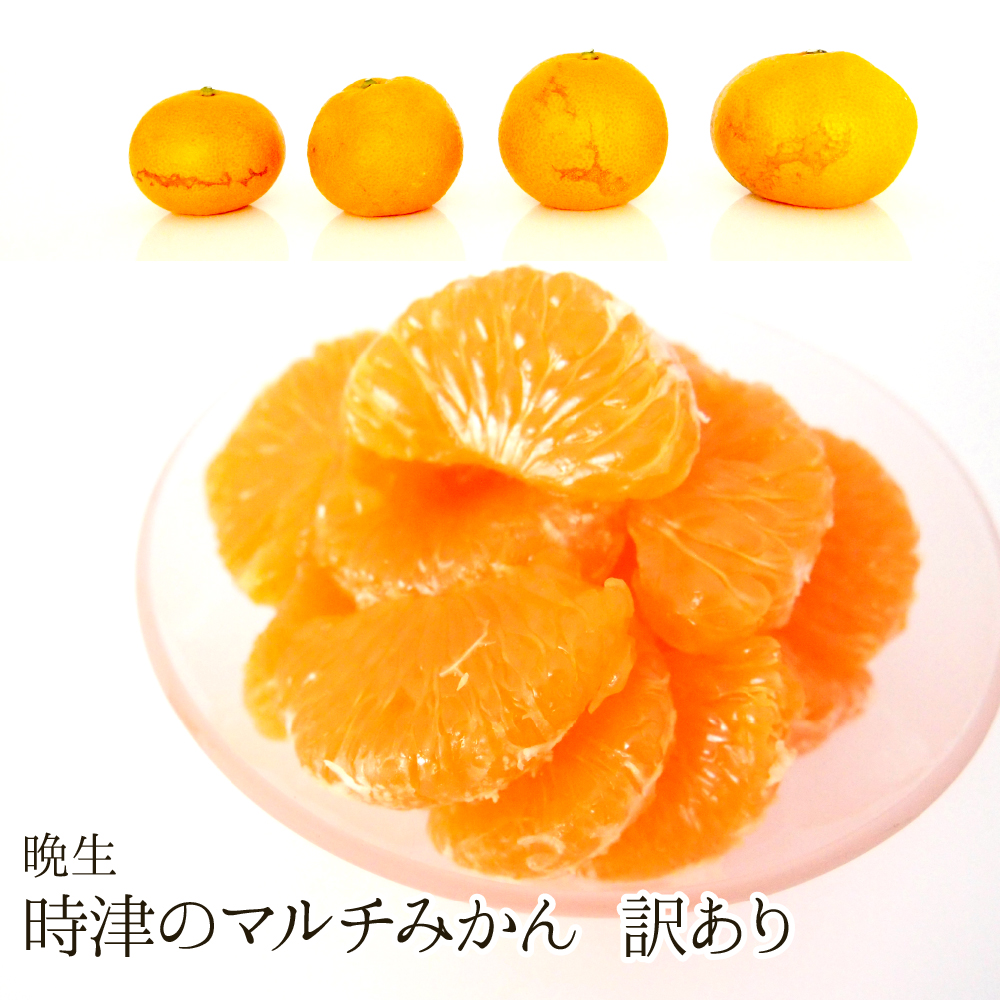 【送料無料】時津のマルチみかん(晩生/訳あり/S～2L)