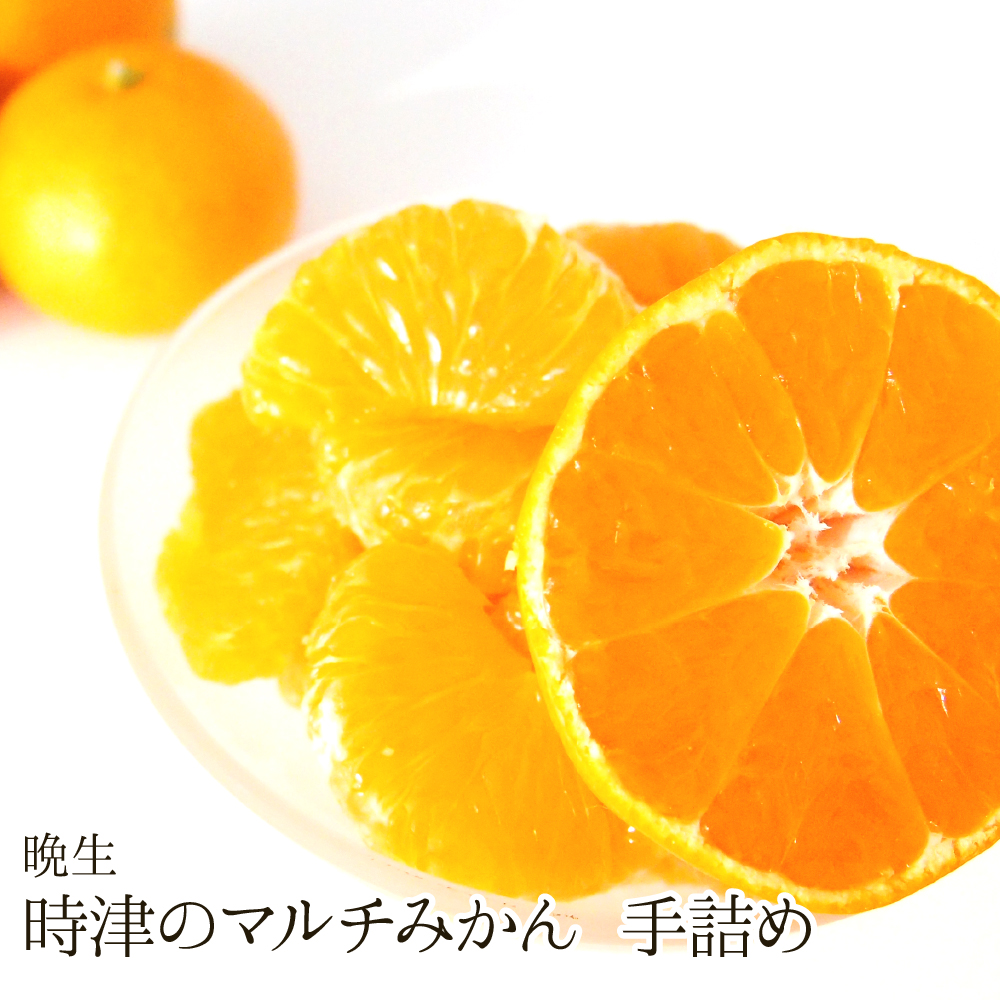 【送料無料】<手詰め>時津のマルチみかん(晩生)