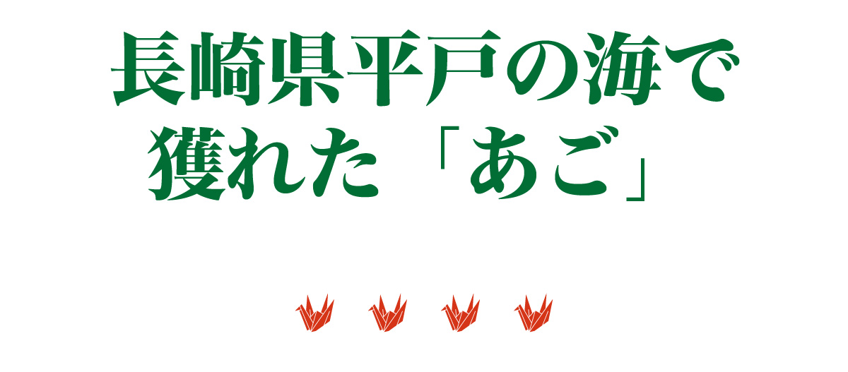 20周年記念 味付焼きあご3袋セット