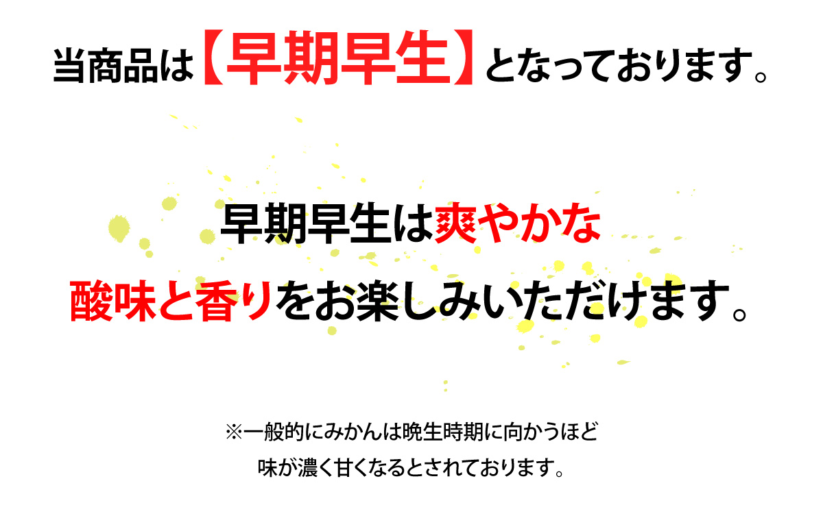 当商品は【早熟早生】となっております。早期早生は爽やかな酸味と香りをお楽しみいただけます。※一般的にみかんは晩生時期に向かうほど味が濃く甘くなるとされております。