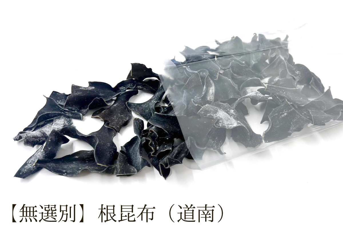 【無選別】根昆布(道南)