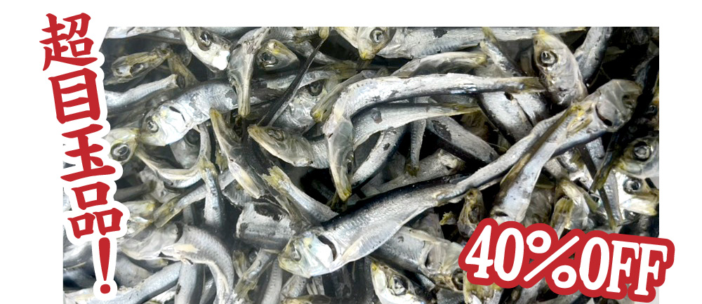 2025年歳末感謝セール