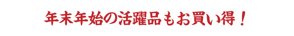 2025年歳末感謝セール
