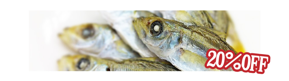 2025年歳末感謝セール